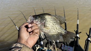 CRAPPIE FISHING - First limit of 2023!