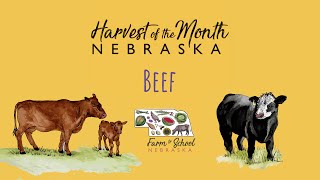 Harvest of the Month: Beef