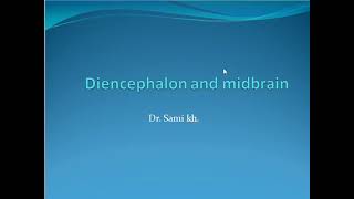 Diencephalon and midbrain