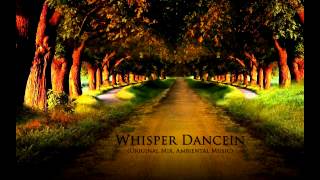 Deejay RT - Whisper Dancein` (Original Mix, Ambiental Music)