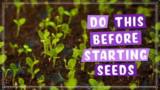 How To Get Good Seed Germination!