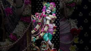 Jai shree krishna ji #shorts #shyam bhajan