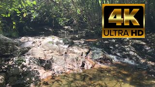 [4K] Relaxing River Sounds With Birds | Meditation Gentle Stream Nature Sounds