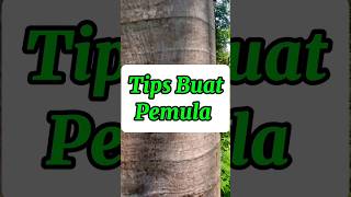 Tips buat pemula