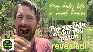 The secrets of our veg patch revealed! -  My Daily Life in Rural France - Ep 29