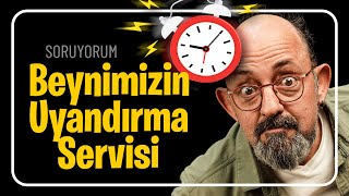 Beynimizin Uyandırma Servisi I SoruYorum