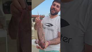 Τρέχει διαγωνισμός σε όλα τα social media μου( Instagram, Facebook, tik tok) #giveaway #fishing