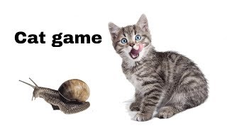 Snail on the screen to make fun with cat | cat games