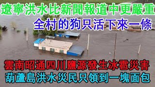 遼寧洪水比新聞報道中更加嚴重，災情嚴重村莊的狗只活下來一條。有些地方洪水災民只領到一塊麵包。四川鹽源縣雲南昭通市發生冰雹災害。