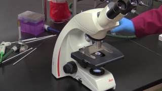 Dr. Oya Yazgan: Microscope Fundamentals