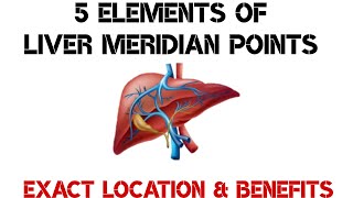 5 Elements of Liver Meridian Points I Exact Location & It's Benefits