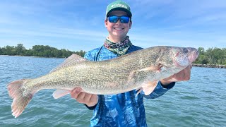 Lake Erie Walleye (Memorial Day Weekend 2024)