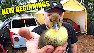 New Beginnings - Midday Q&A 130