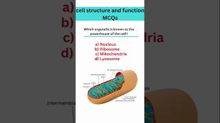 Cell structure and function MCQs ||Cellular biology mcq #shorts #competitiveexams  #biologymcqs