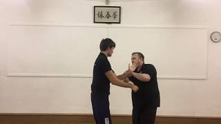 Ip Man Wing Chun Chi Sau Training Demo 2018 (Mann Family School of Kung Fu)