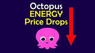 Octopus Energy Price Drops. My Gas Price will Fall in July 2023.