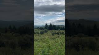 Appalachian Trail through Grayson Highlands. Also, wild ponies.