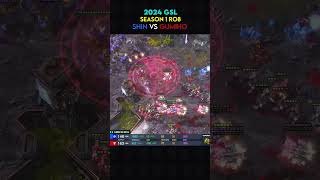 2024 GSL S1 - Shin vs GuMiho Highlight 3 #Shorts #Starcraft  #Starcraft2