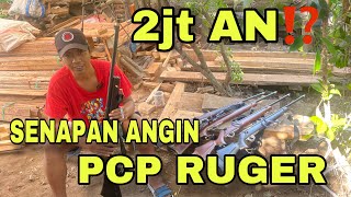 2JT AN‼️SENAPAN ANGIN PCP RUGER