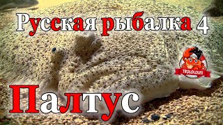 Русская рыбалка 4 ФАРМ На Норвежском море ПАЛТУС АТЛАНТИЧЕСКИЙ