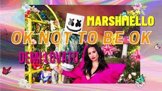 🙃☹👌🏼 Marshmello & Demi Lovato - OK Not To Be OK 中英文歌詞 Lyrics