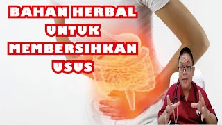 BERSIHKAN USUS DENGAN BAHAN - BAHAN HERBAL INI