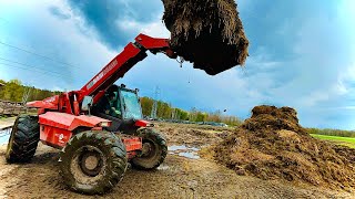 ☆ Wywalanie Obornika od Krów i Cielaków ☆ Ścielenie ☆2021☆ MANITOU MLT 628 Turbo ☆