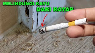 Cara melindungi kayu dari rayap.