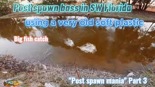 Fishing for big post spawn bass in Southwest FL   with a Mr.Wiffle #postspawn #largemouth #mrwiffle