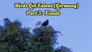 Birds Got Talent ( Germany )  Part 3:  Finale  [ Pop Up d Volume ]