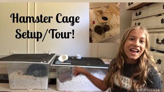 Hamster Cage Tour/Setup