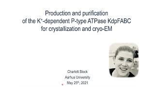 Production and purification of the K*-dependent P-type ATPase KdpFABC for crystallization & cryo-EM