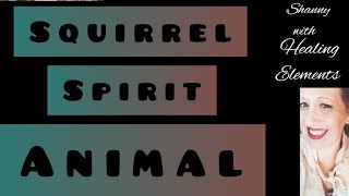 🐿️ The Squirrel Spirit Animal 🐿️ All About The Spirit Totem Medicine Energy Traits of The SQUIRREL🐿️