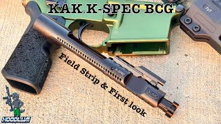 Building An AR On A Budget: KAK K-Spec Enhanced BCG & Field Stripping