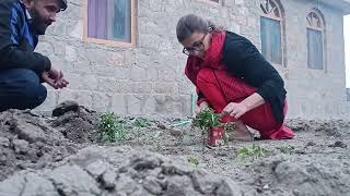 organic life #viral #tiktok #trending #hunza #dailyvlog #dailylife #organic #tajikistan #pakistan