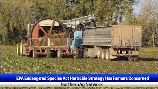 EPA Endangered Species Act Herbicide Strategy Has Farmers