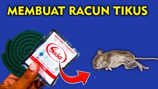 Pasti semua baru tahu cara ini !! Tikus mati seketika...