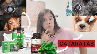 Cataratas -CAUSAS, TRATAMIENTOS CASEROS Y DE DOCTOR