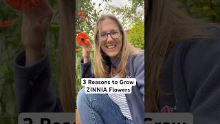 3 Reasons to Grow Zinnias in Your Garden #growveg #gardening #diygardening #gardeningideas