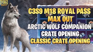 C3S9 M18 Royal Pass Max Out | Classic Crate Opening | Arctic Wolf Companion Crate Opening