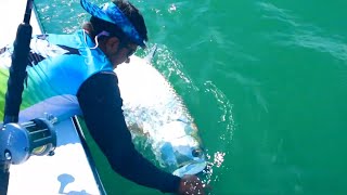 Boca Grande Tarpon Fight - Fishing the Hill Tide Crab Flush