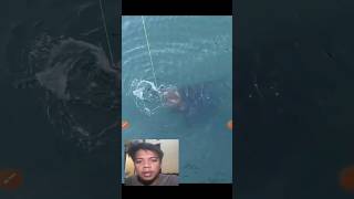 mancing ikan besar umpan ikan ,fishing big fish in the sea original video by yt @McGrathFishing