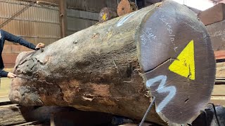 Wood Cutting and Sawing Skills Worth Learning From Craftsmen Of 50 Years