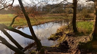 Northern Holland - Hikin' Gasteren, the Forests & Streams of Drenthe [Dec. 16, 2017]