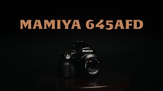 The Mamiya 645AFD is Perfect (For Me)