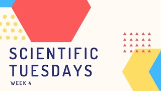 Scientific Tuesdays: Week 4