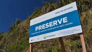 Vídeo Reflorestamento na Ilha Comprida - MoNa Cagarras