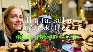 Áll a fa, sül a mézeskalács, nő a stressz | almapapivlog(mas) #58