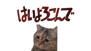 【音mad】はいよろこんで  猫ミームver.