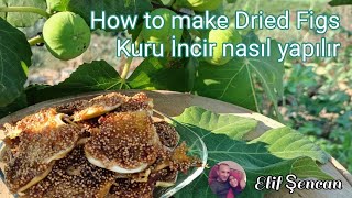 Kuru İncir nasıl yapılır/How to make Dried Figs/